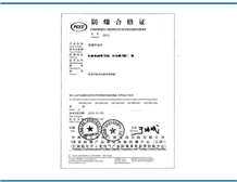 Should lighting obtain an Ex Certificate or the Ex 3C Certification?
