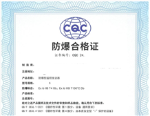 Principles and Scope of Application for Ex "i" Certification