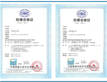 Case of Ex Certificates for Wireless Temperature and Vibration Sensors and Gateways