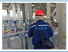 Case study of on-site explosion-proof electrical testing at a certain oil and gas site of CNOOC in Haikou