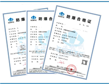 Case of  Ex Certificate issued by CCRI