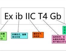 The Basic Meaning of Gas Ex Marking