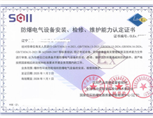 What qualifications are required for the installation of Ex equipment?