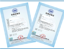 Case of Ex Certification for Electric Heaters