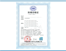Case fo Ex Certificate for Positive Pressure Controller
