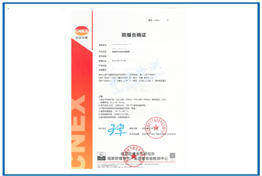 Case of Ex Certification for Single point Automatic Lubricator