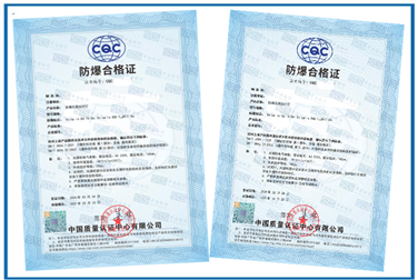 Case of op is Ex Certificate for passive fiber optical lamp