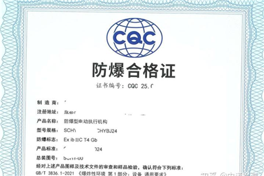 办理本安防爆认证有哪些具体的要求？