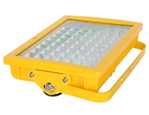 What does the anti-corrosion grade WF1 mean for lighting fixtures?