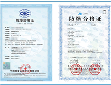 The case of “t”Ex Certification for Dust Ignition Prevention Shell | STS